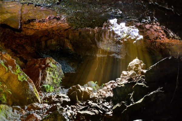 Visite des Tunnels